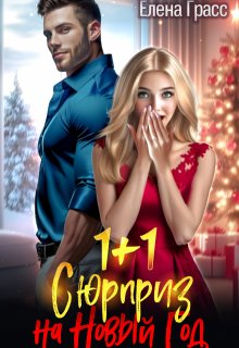 1 + 1. Сюрприз на Новый год (Елена Сокол)