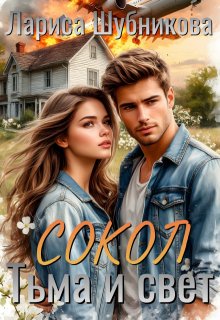 Сокол. Тьма и Свет (Лариса Шубникова)